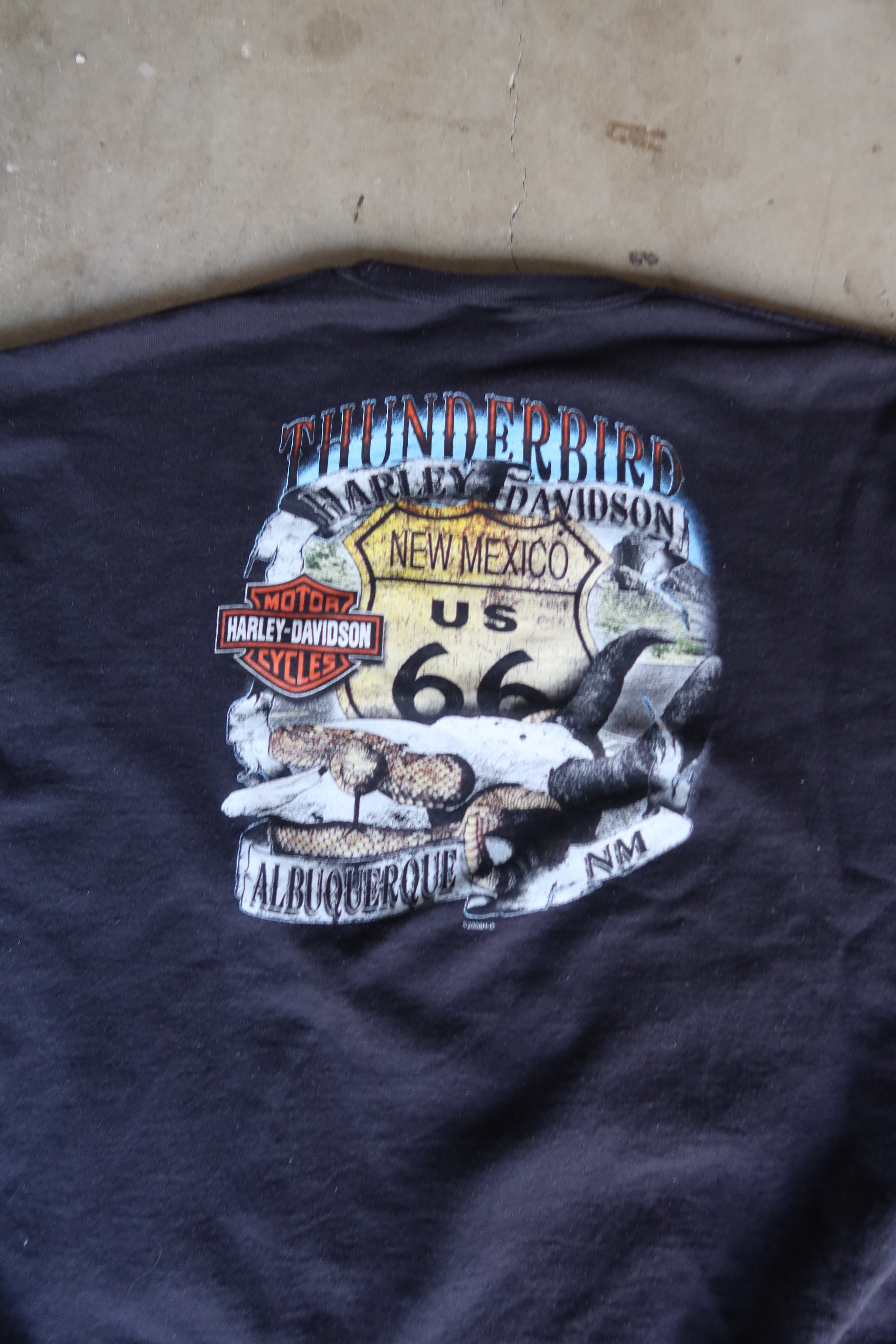 Vintage Harley-Davidson Route 66 Sweatshirt (1990s)